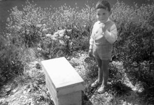 Nevière, une entreprise familiale créée en 1930 Nevière, une entreprise familiale créée en 1930